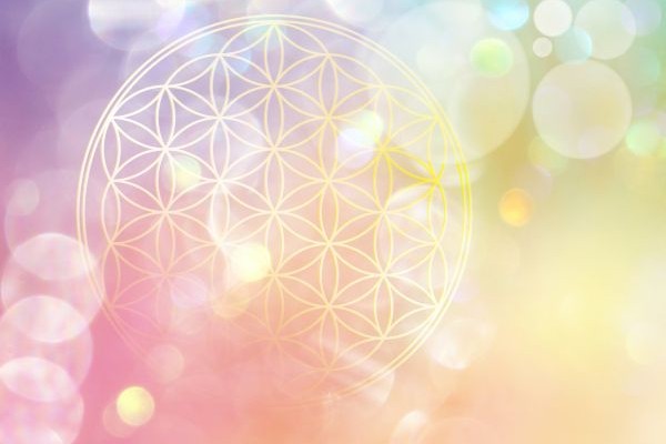 Die Schnittstelle zwischen Psyche und Körper