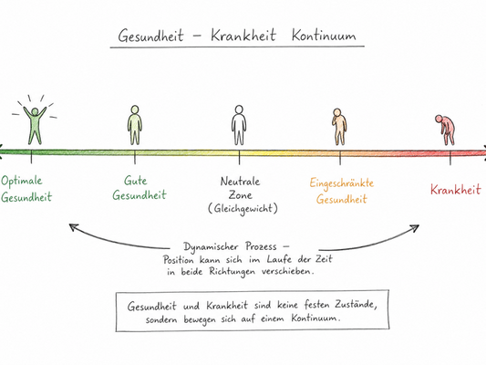 Gesundheit – ein dynamisches Gleichgewicht